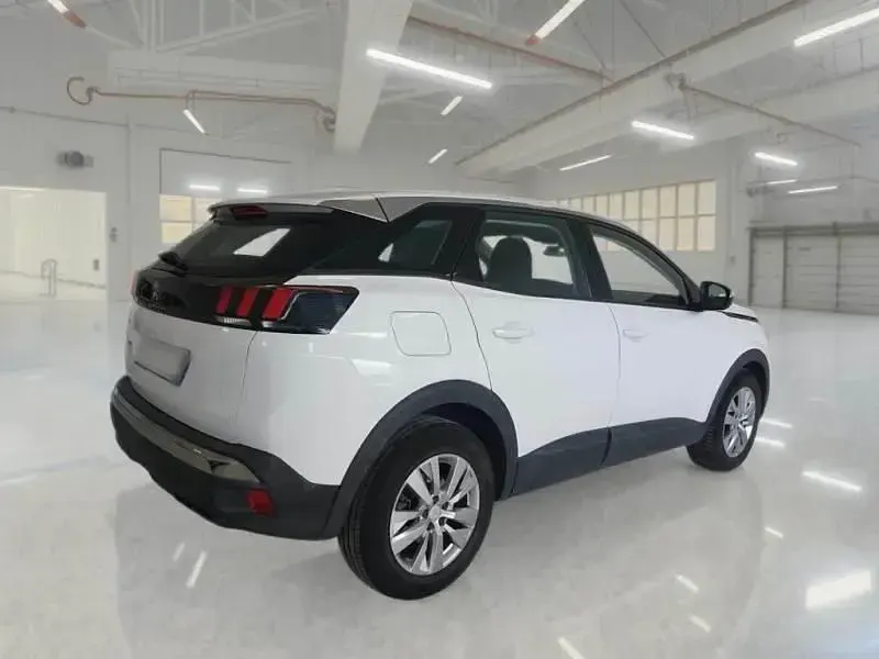 Usata Peugeot 3008 Business-Line 131 CV (96 kW) 2020 Bianco SUV