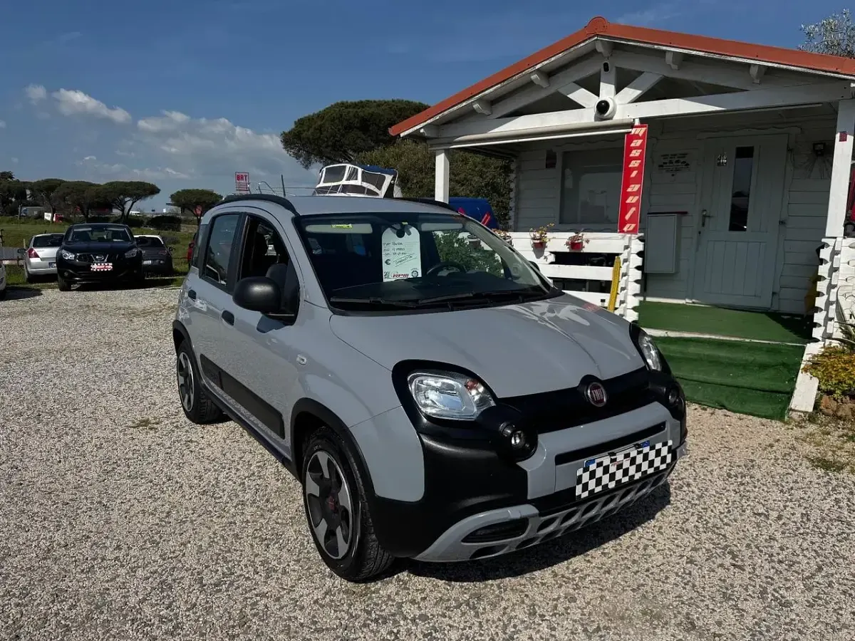 Usata Fiat Panda Cross Cross 69 CV (50 kW) 2021 Grigio Utilitaria