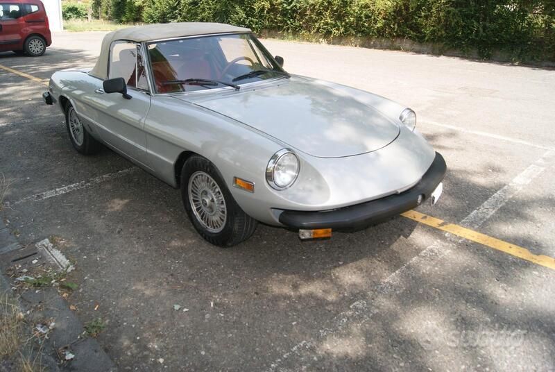 Usata Alfa Romeo Spider 1981 Grigio Cabrio