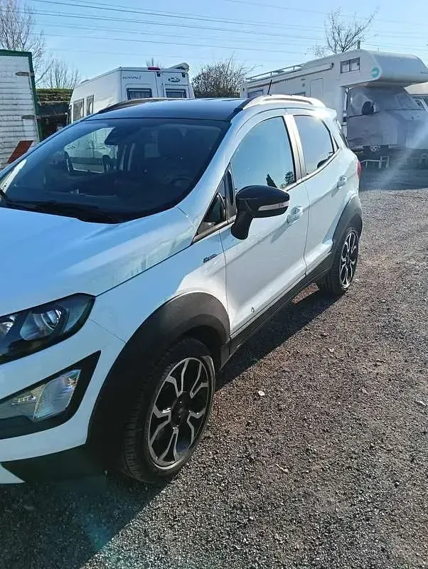 Usata Ford Ecosport Active 125 CV (91 kW) 2022 Bianco SUV