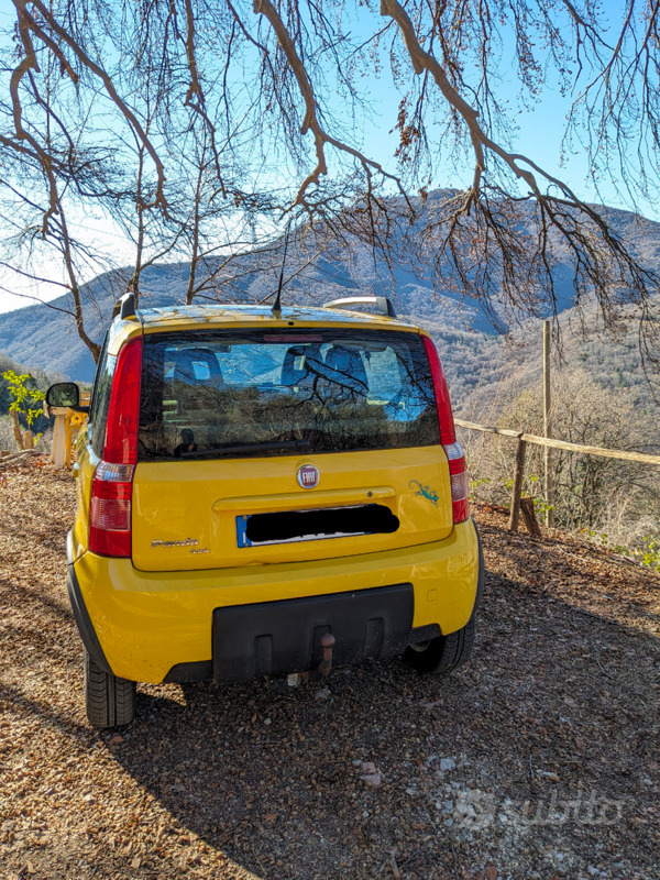 Usato 2011 Fiat Panda 4x4 1.2 Diesel 69 CV (7.500 €)