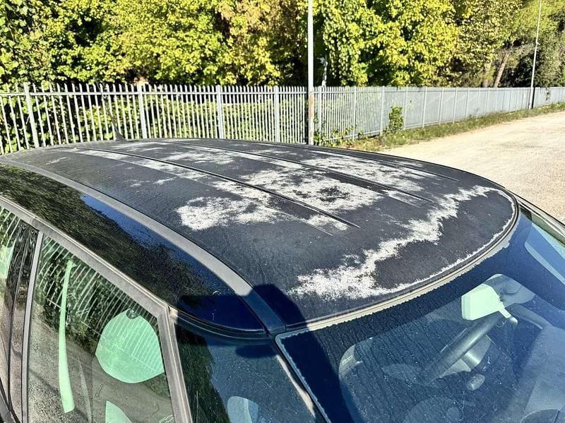 Usata Fiat 500L Pop Star 84 CV (61 kW) 2014 Nero Monovolume