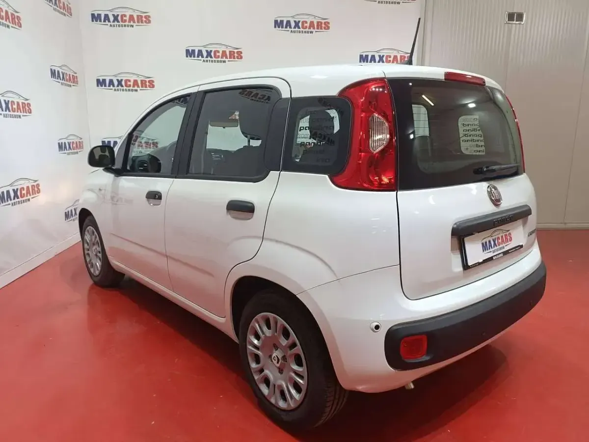 Nuova Fiat Panda Icon 65 CV (47 kW) 2025 Bianco Utilitaria