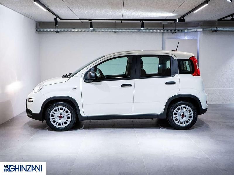 Usata Fiat Panda S 69 CV (50 kW) 2024 Bianco Utilitaria