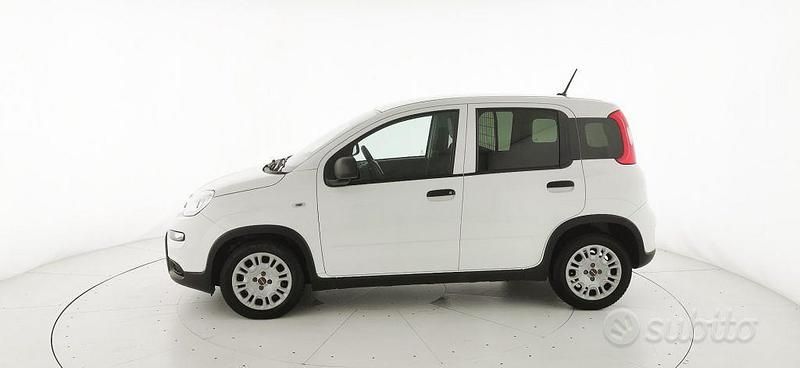 Usata Fiat Panda S 69 CV (50 kW) 2023 Bianco pastello Utilitaria