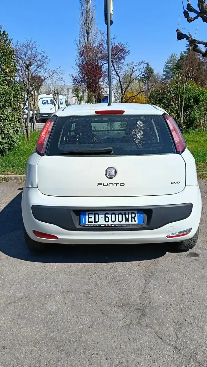 Usata Fiat Punto Evo Active 75 CV (55 kW) 2010 Bianco Utilitaria