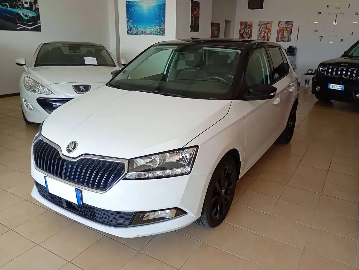 Usata Skoda Fabia 95 CV (69 kW) 2019 Perlato Utilitaria
