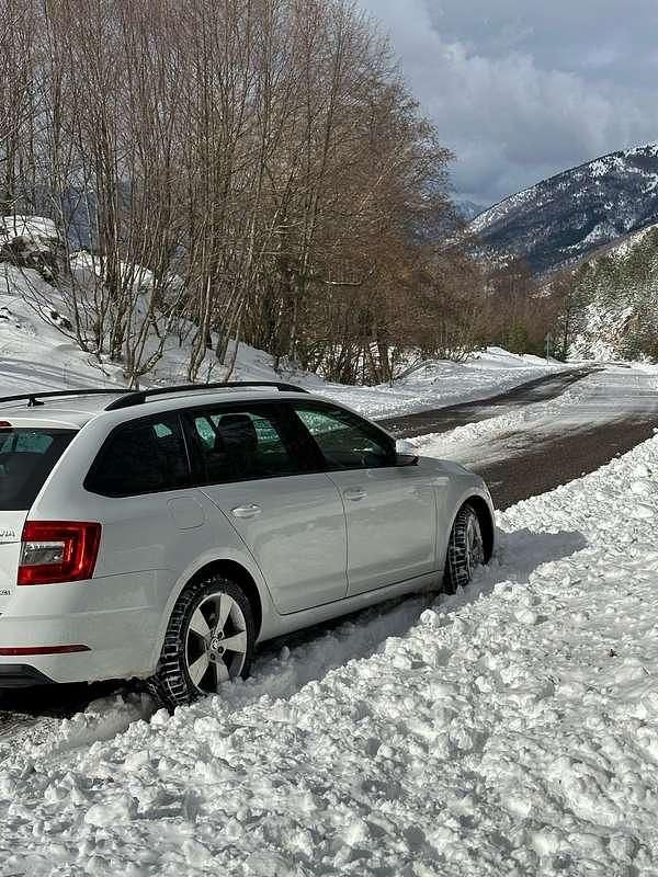 Usata Skoda Octavia G-TEC Style 131 CV (96 kW) 2020 Bianco Station wagon