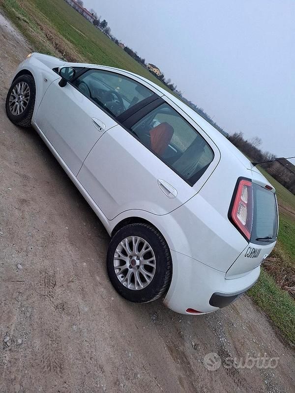 Usata Fiat Punto Evo 2010 Bianco Utilitaria