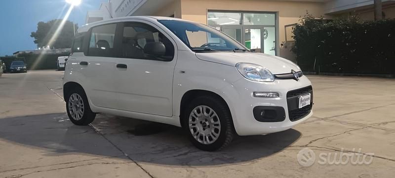 Usata Fiat Panda Easy 69 CV (50 kW) 2019 Bianco Berlina
