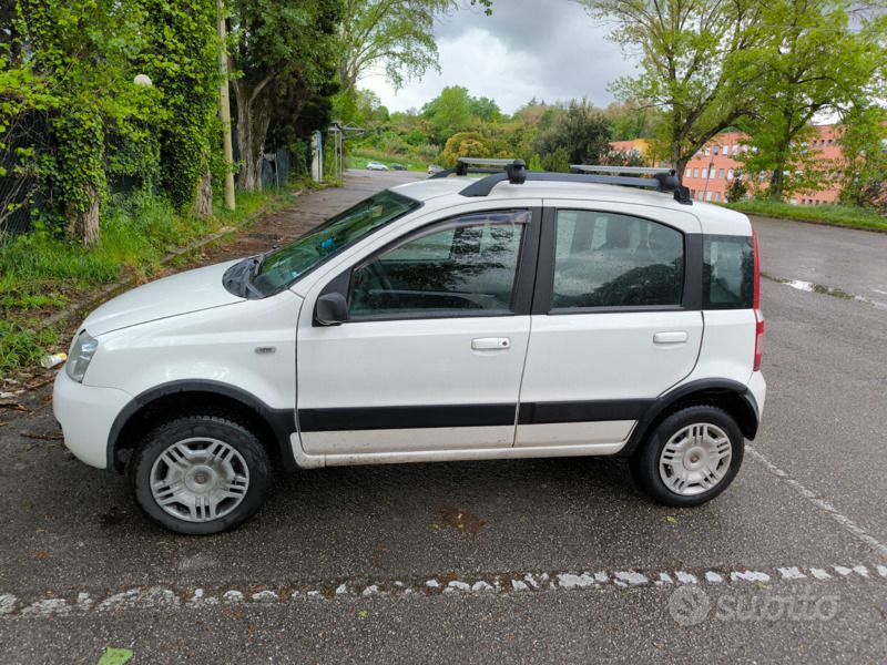 Usata Fiat Panda 4x4 60 CV (44 kW) 2009 Bianco Utilitaria