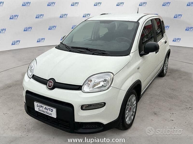 Usata Fiat Panda S 70 CV (51 kW) 2023 Bianco Utilitaria