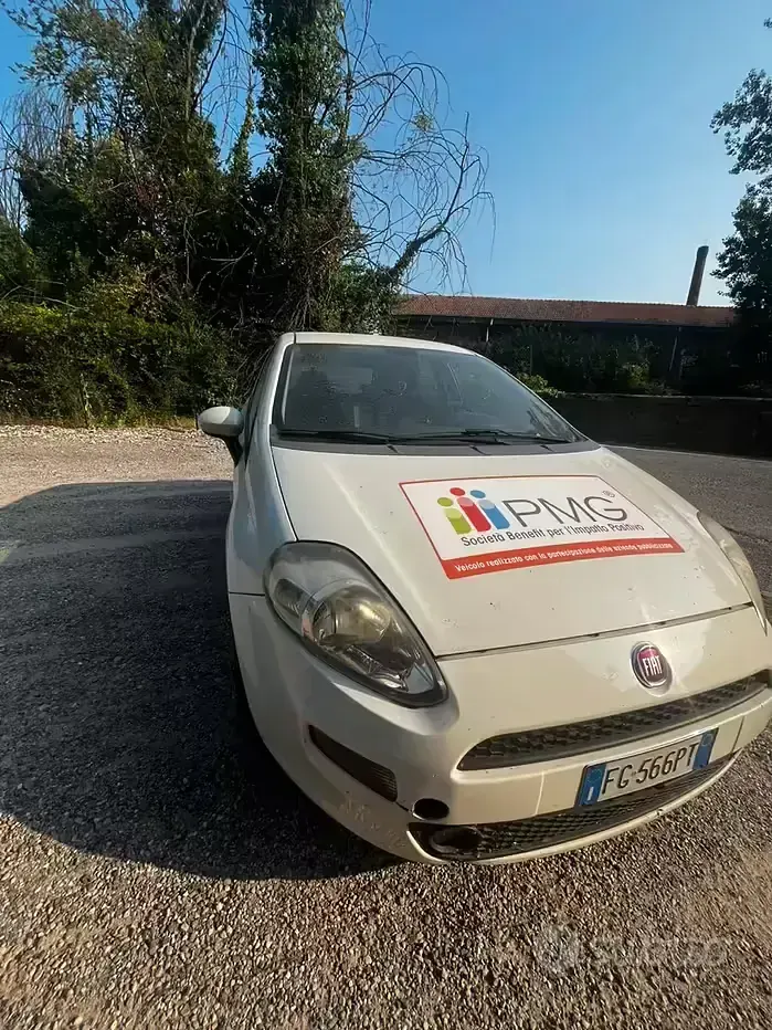 Usata Fiat Punto 77 CV (56 kW) 2016 Bianco Utilitaria