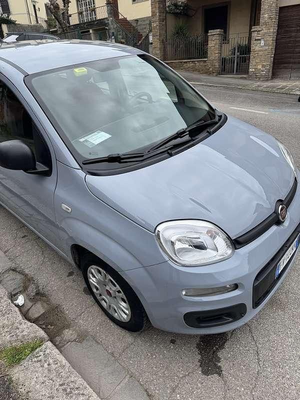 Usata Fiat Panda Pop 69 CV (50 kW) 2019 Grigio Utilitaria