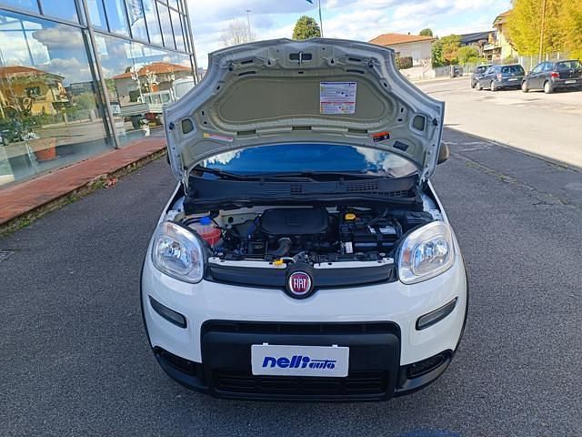 Usata Fiat Panda S 69 CV (50 kW) 2023 Bianco Utilitaria