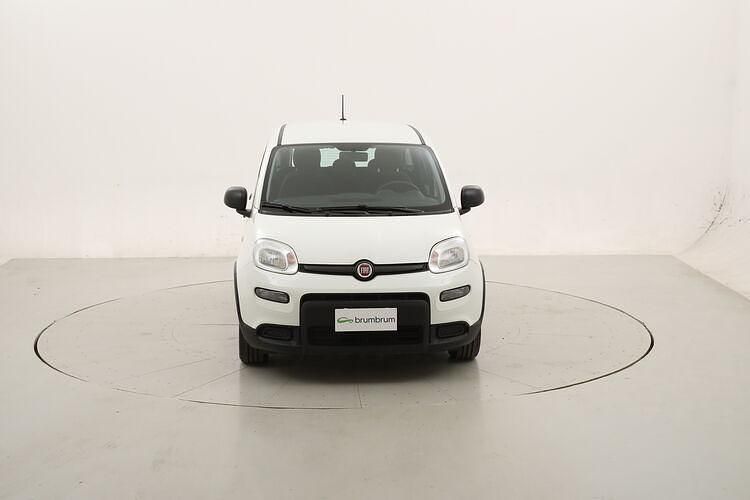 Usata Fiat Panda 71 CV (52 kW) 2023 Bianco Utilitaria