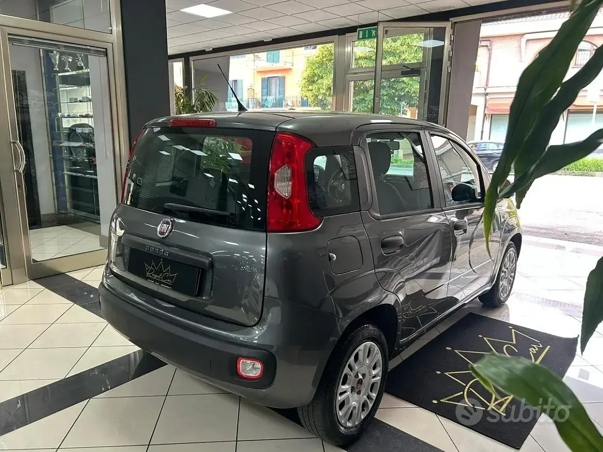 Usata Fiat Panda Easy 69 CV (50 kW) 2018 Grigio Utilitaria