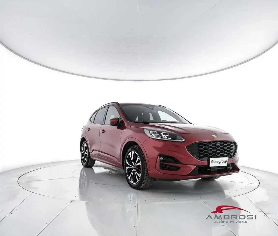 Usata Ford Kuga ST-Line X 190 CV (139 kW) 2020 Rosso SUV
