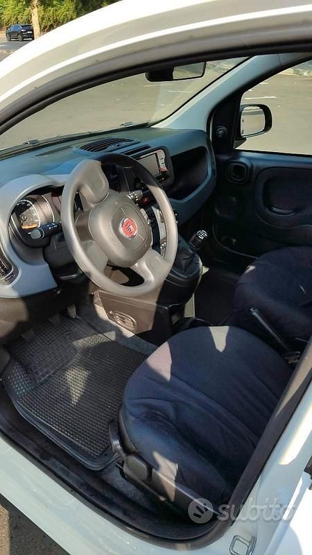 Usata Fiat Panda 69 CV (50 kW) 2024 Bianco Utilitaria