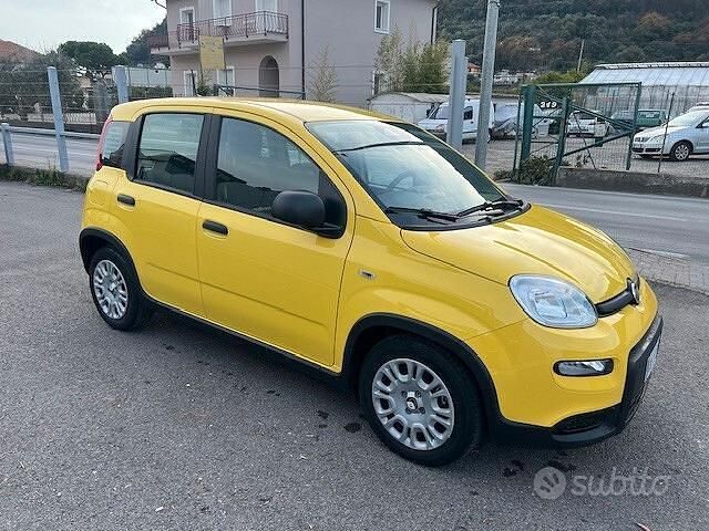 Usata Fiat Panda S 69 CV (50 kW) 2024 Giallo Utilitaria