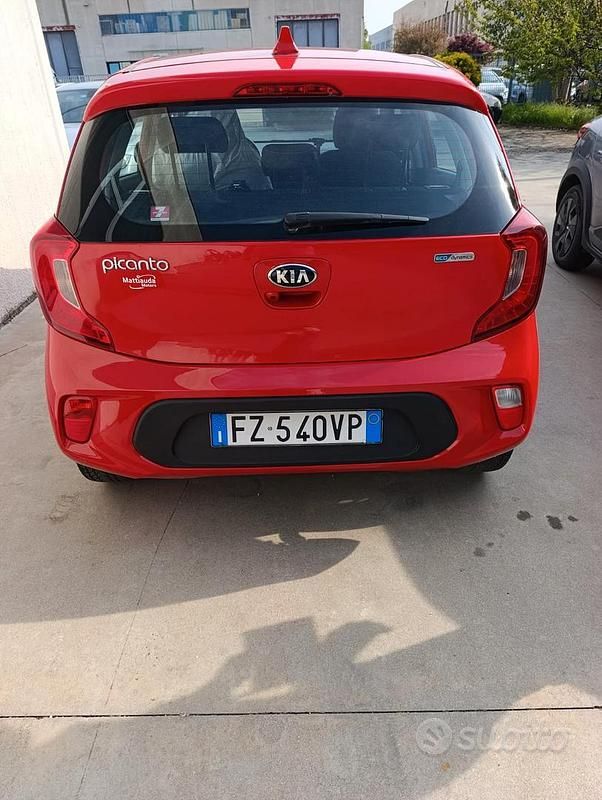 Usata Kia Picanto 2020 Rosso Utilitaria