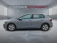Usata VW Golf VIII Life 116 CV (85 kW) 2024 Grigio Utilitaria