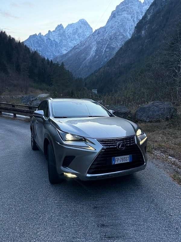 Usata Lexus NX300h E-FOUR Executive Line 196 CV (144 kW) 2018 SUV
