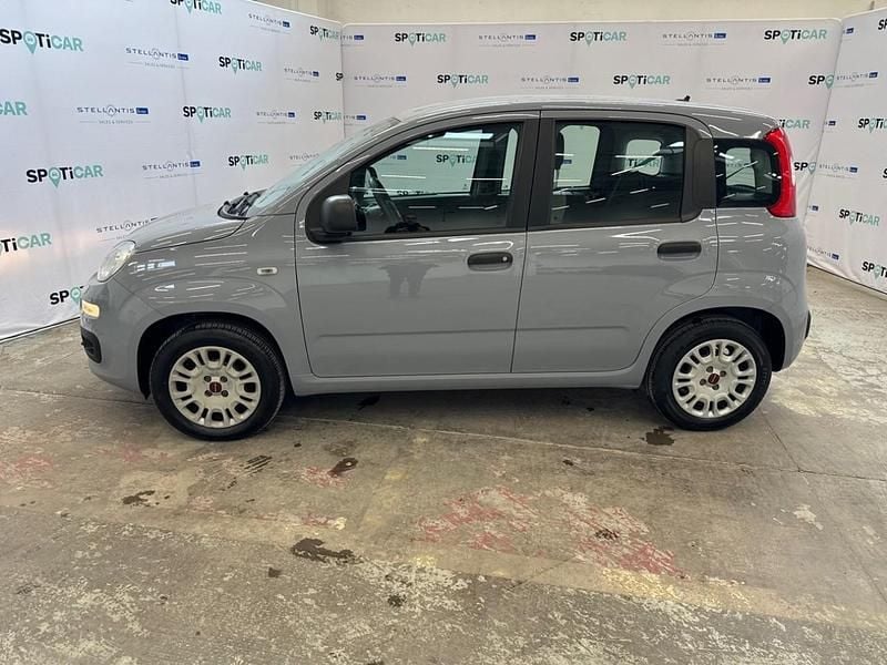 Usata Fiat Panda S 70 CV (51 kW) 2021 Grigio Utilitaria