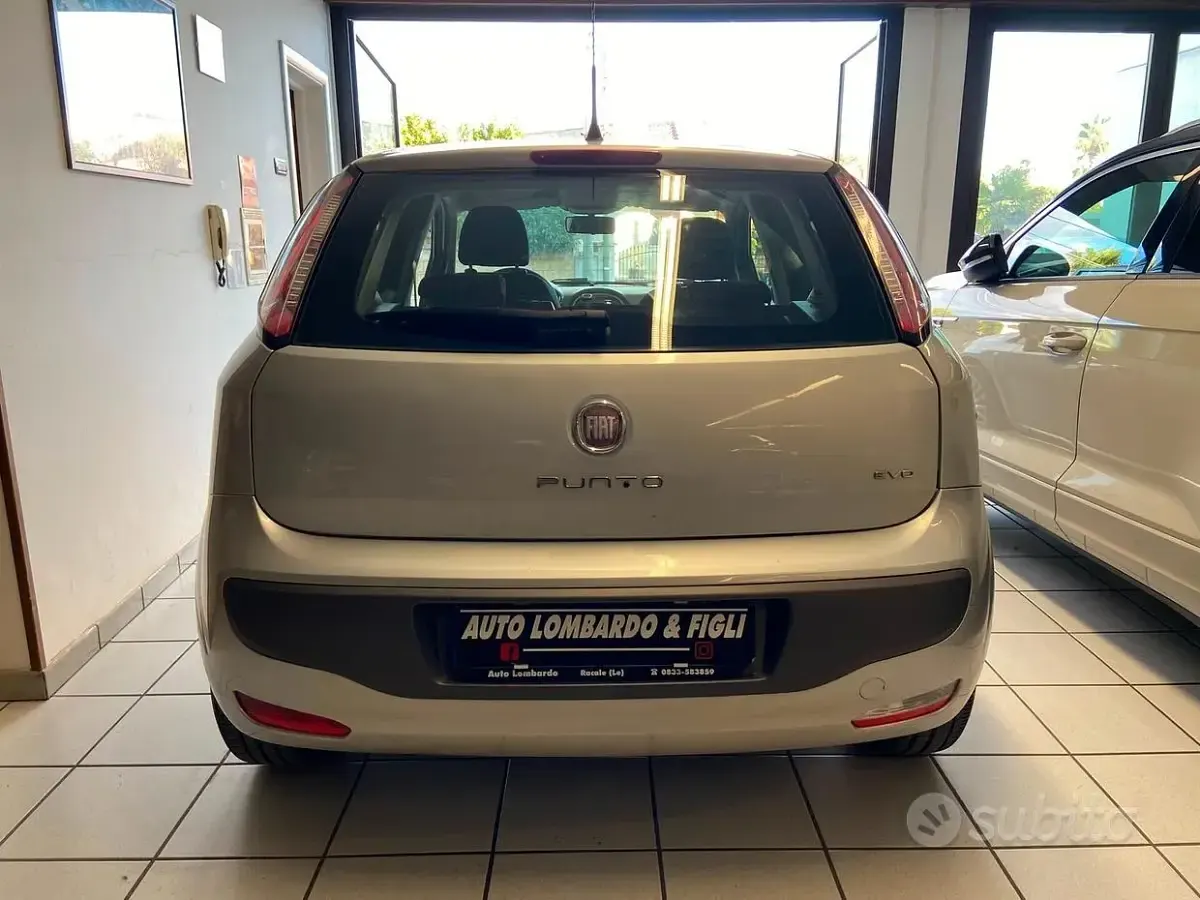 Usata Fiat Punto Evo Active 75 CV (55 kW) 2010 Grigio Utilitaria