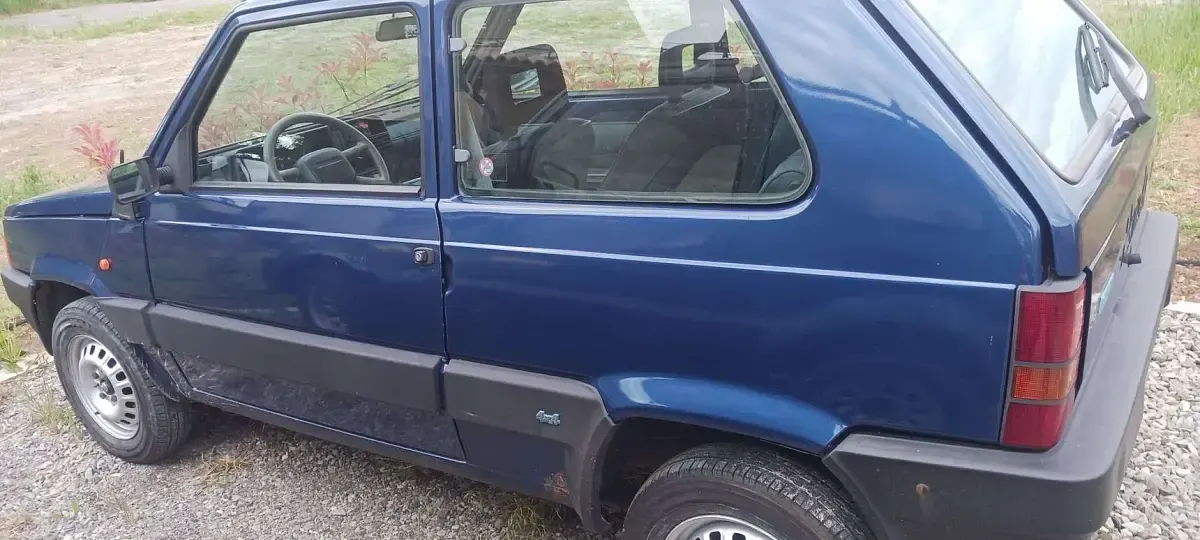 Usata Fiat Panda 4x4 Trekking 54 CV (39 kW) 2001 Utilitaria