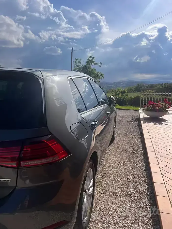 Usata VW Golf VII Executive 130 CV (95 kW) 2019 Berlina