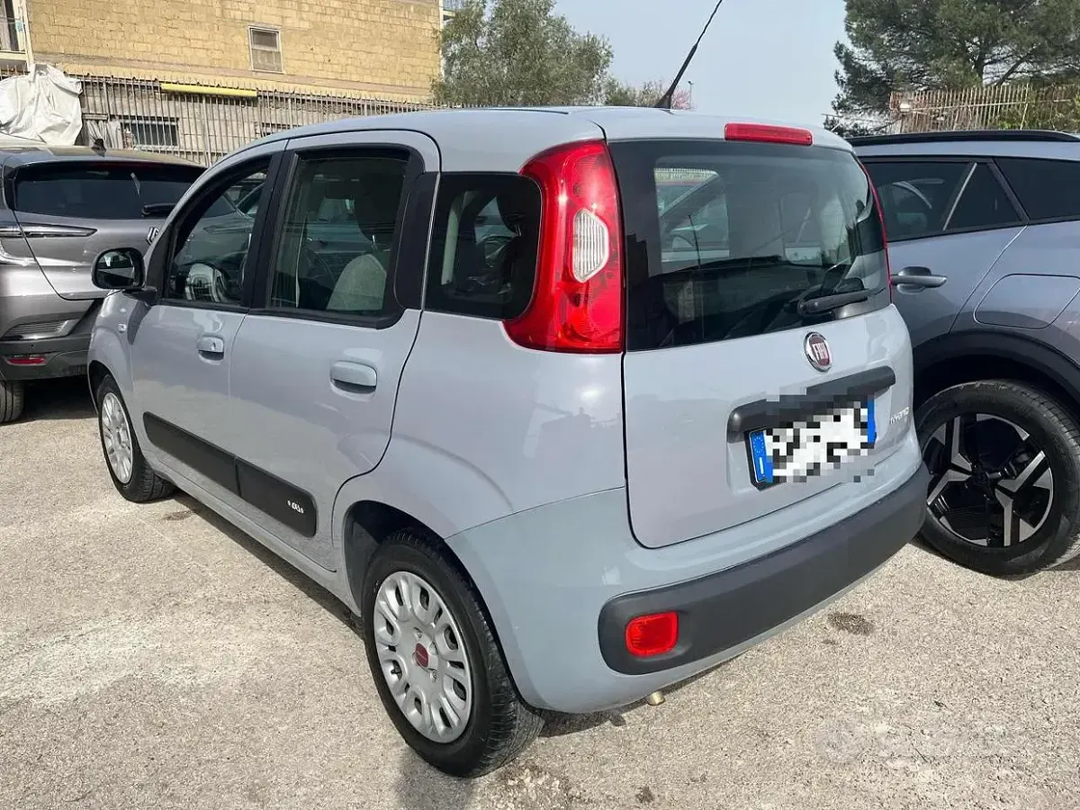 Usata Fiat Panda S 69 CV (50 kW) 2022 Vari colori Utilitaria