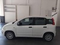 Usata Fiat Panda S 69 CV (50 kW) 2021 Bianco Utilitaria