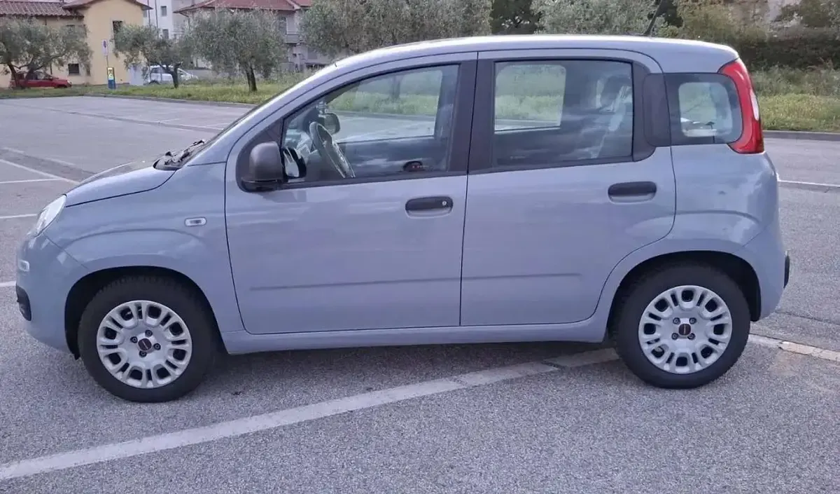 Usata Fiat Panda Easy 69 CV (50 kW) 2020 Grigio Utilitaria