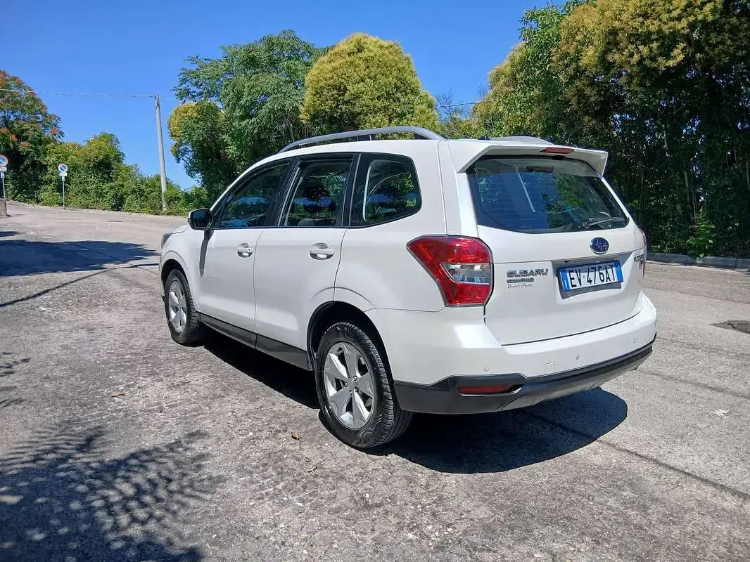 Usata Subaru Forester Trend 147 CV (108 kW) 2014 Bianco SUV