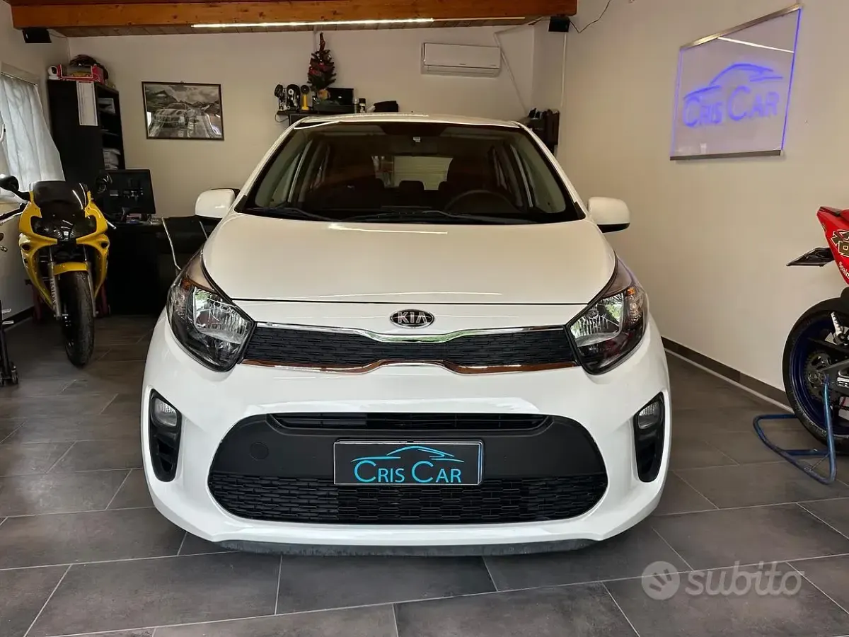 Usata Kia Picanto Active 65 CV (47 kW) 2018 Bianco Utilitaria