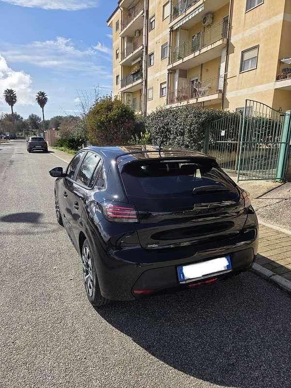 Usata Peugeot 208 Active 75 CV (55 kW) 2024 Utilitaria