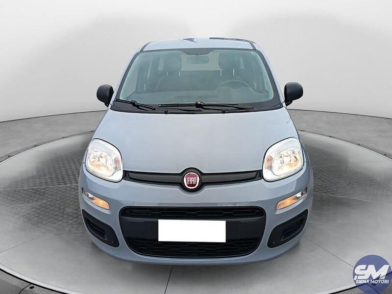 Usata Fiat Panda Easy 69 CV (50 kW) 2019 Grigio Berlina