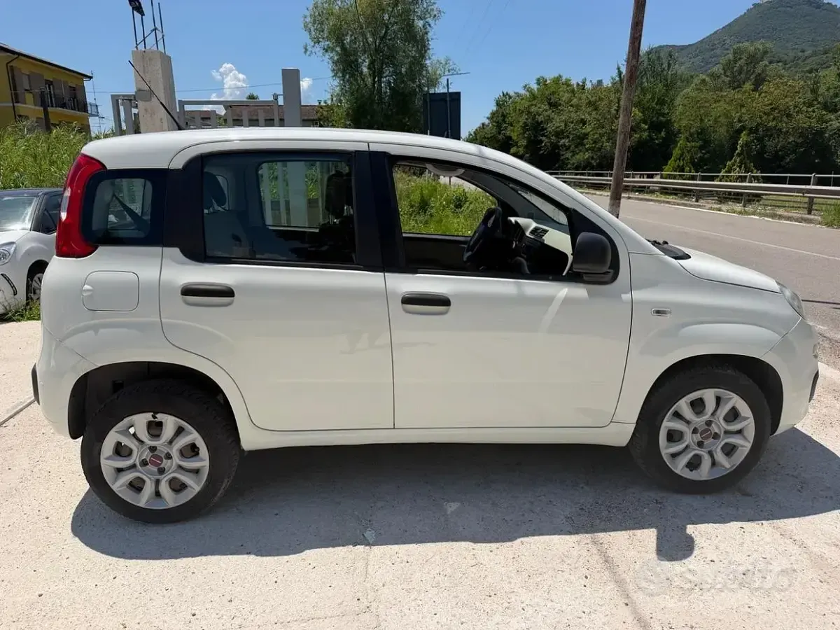 Usata Fiat Panda 80 CV (58 kW) 2015 Bianco Utilitaria