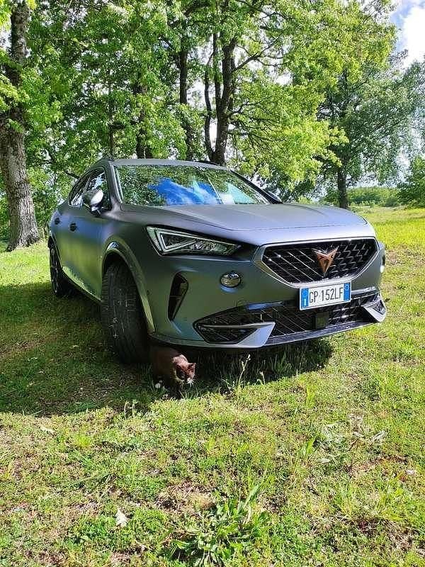 Usata 2023 Cupra Formentor SUV | 31.900 € (Buon prezzo) - Immagine 1/4