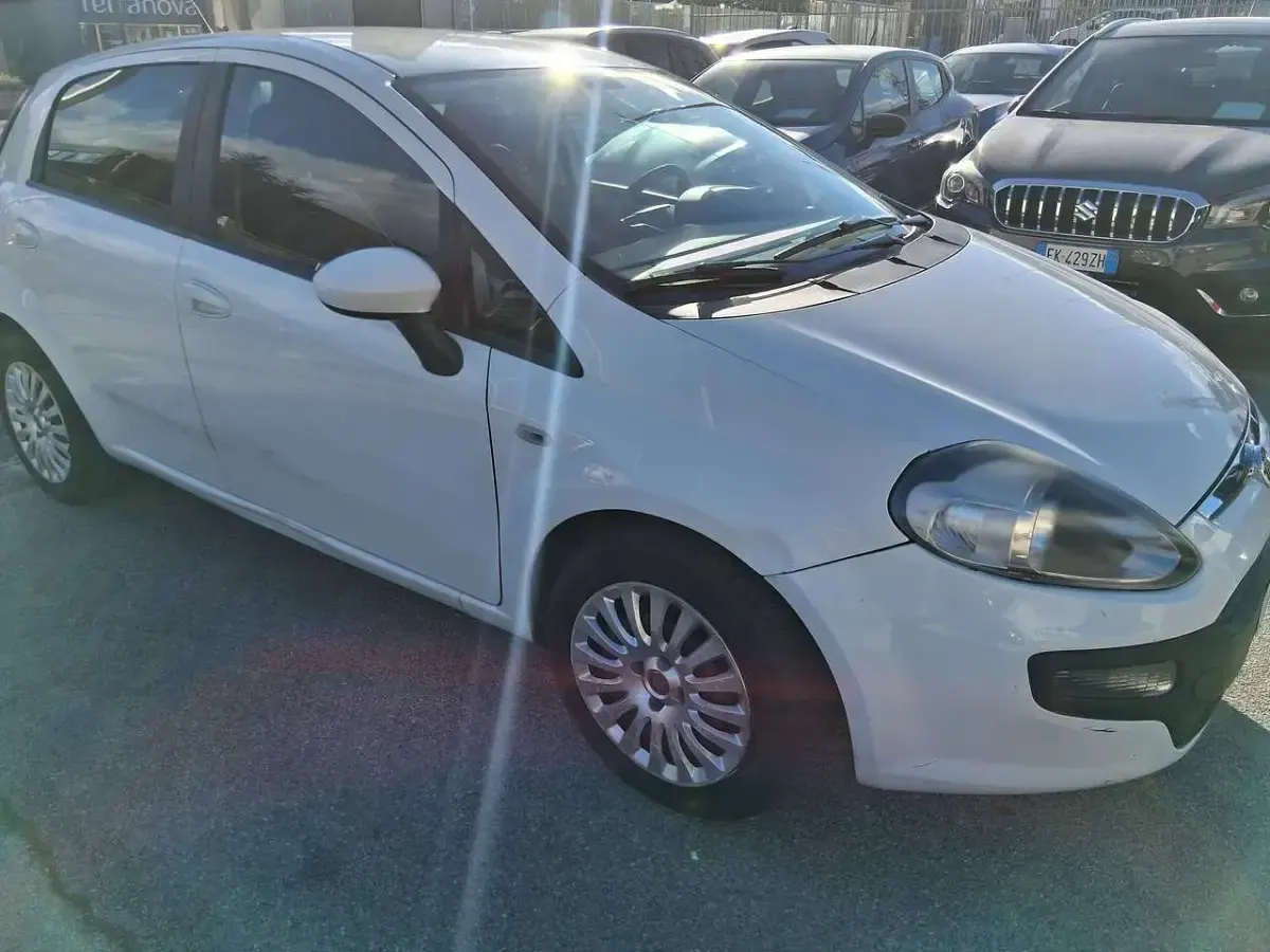 Usata Fiat Punto Evo 95 CV (69 kW) 2011 Bianco Utilitaria