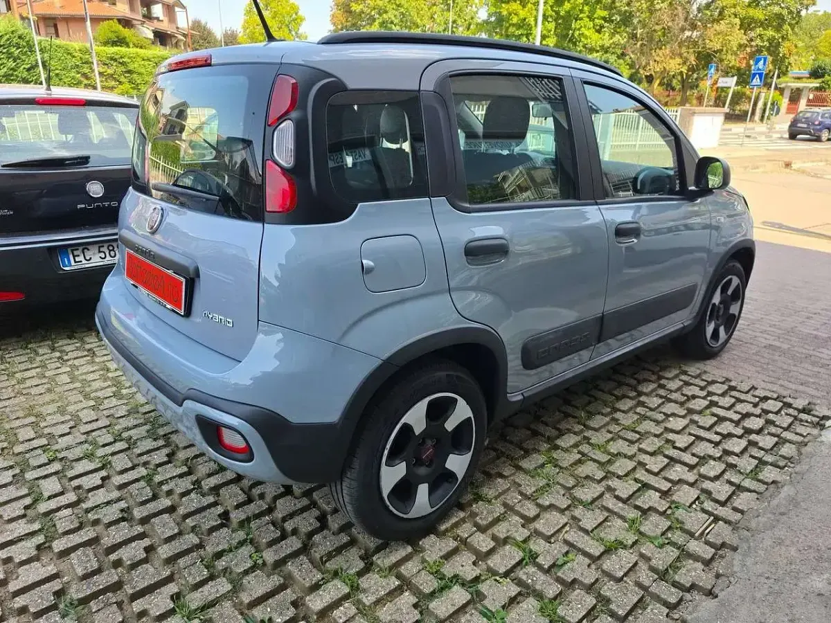 Usata Fiat Panda Cross Cross 69 CV (50 kW) 2020 Other Utilitaria