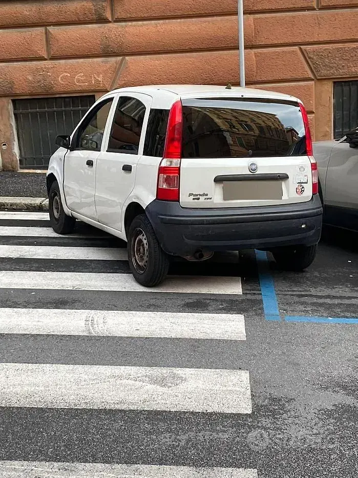 Usata Fiat Panda 69 CV (50 kW) 2008 Utilitaria