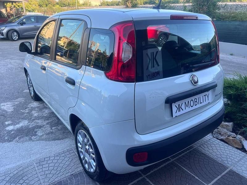 Usata Fiat Panda S 69 CV (50 kW) 2021 Bianco Utilitaria