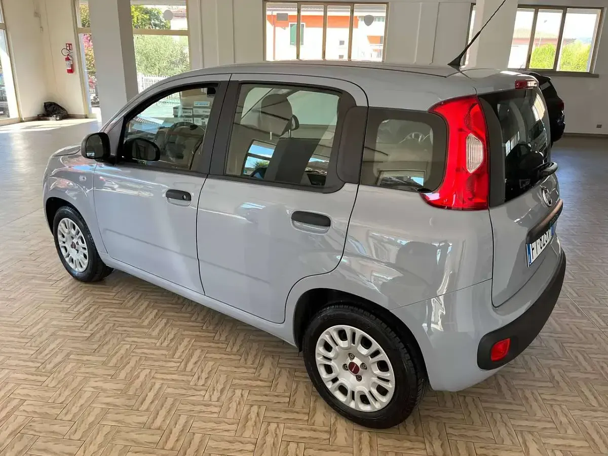 Usata Fiat Panda Easy 69 CV (50 kW) 2018 Grigio Utilitaria
