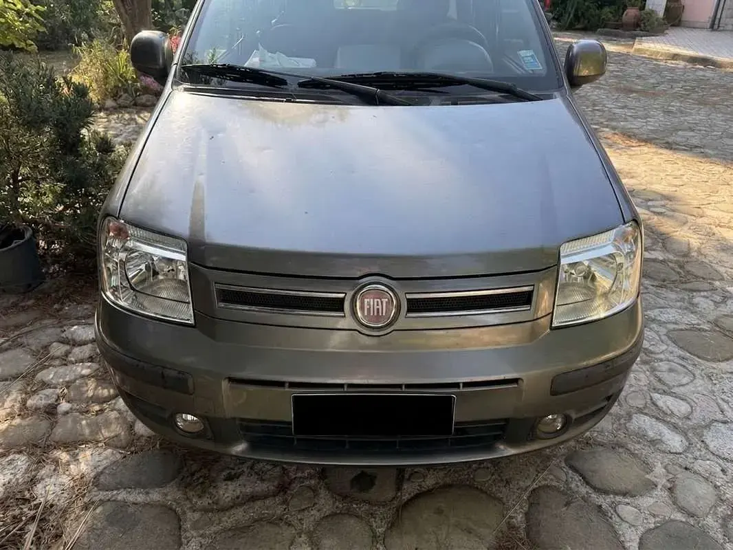 Usata Fiat Panda Dynamic 69 CV (50 kW) 2011 Utilitaria