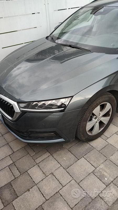 Usata Skoda Octavia Executive 150 CV (110 kW) 2021 Station wagon