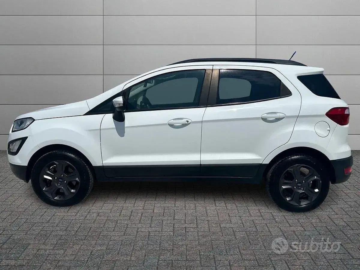 Usata Ford Ecosport Business Edition 125 CV (91 kW) 2018 Bianco SUV