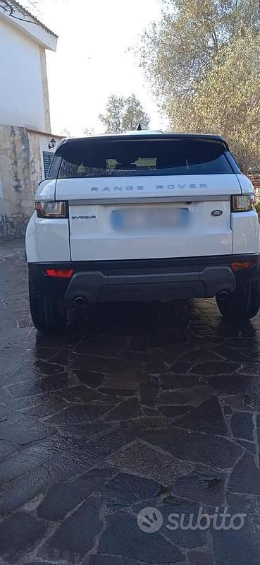 Usata Land Rover Range Rover evoque 150 CV (110 kW) 2016 Bianco