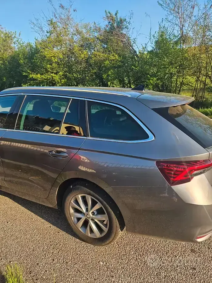 Usata Skoda Octavia 150 CV (110 kW) 2025 Grigio Station wagon